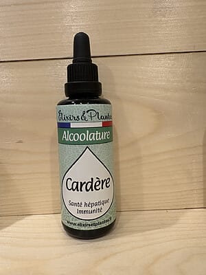 Alcoolature de Cardère BIO